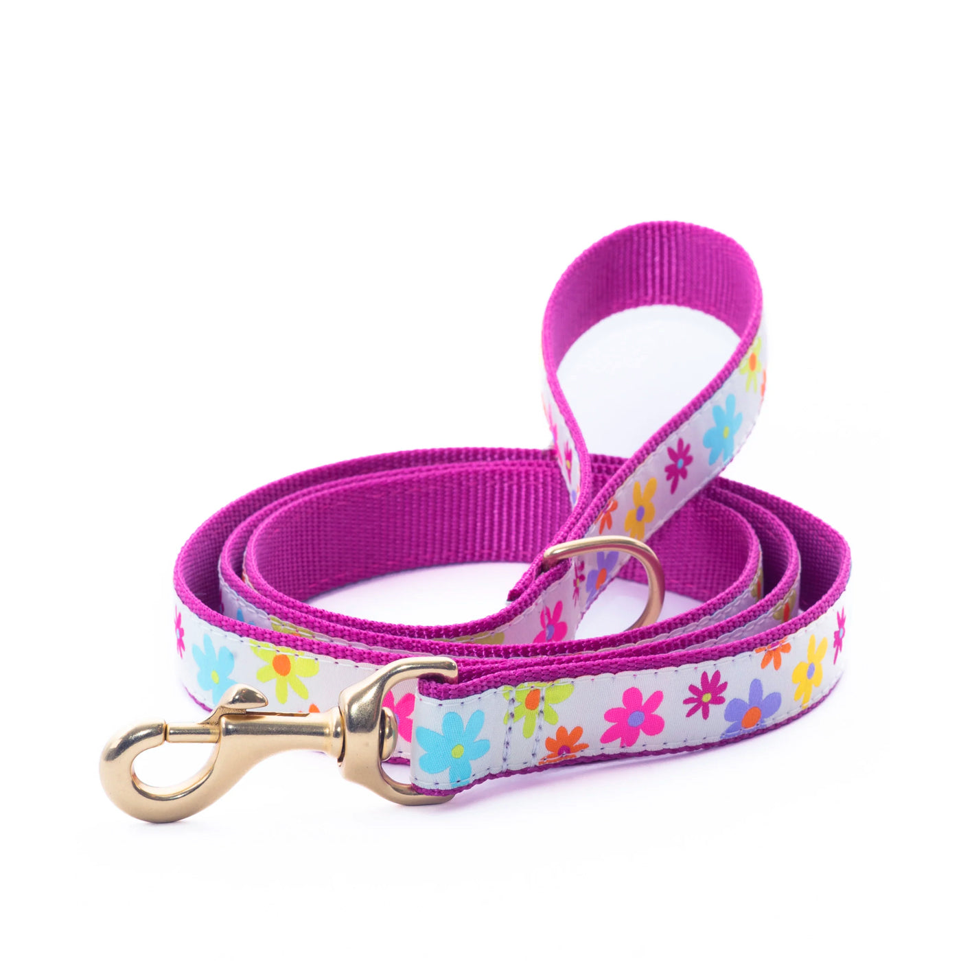 Up Country Spring Fever Floral lead with brass buckle and clasp. Pink nylon with bright colored daisies on white ribbon.
