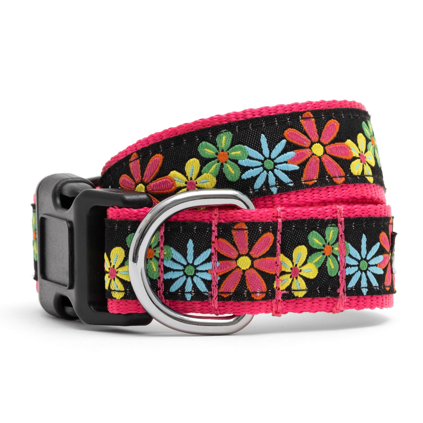 floral daisies dog collar