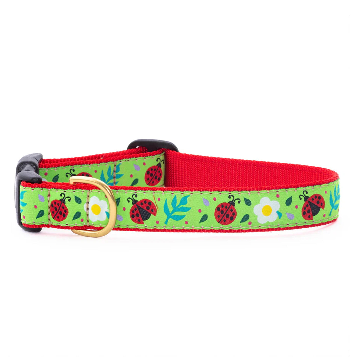 Green and red ladybug collar