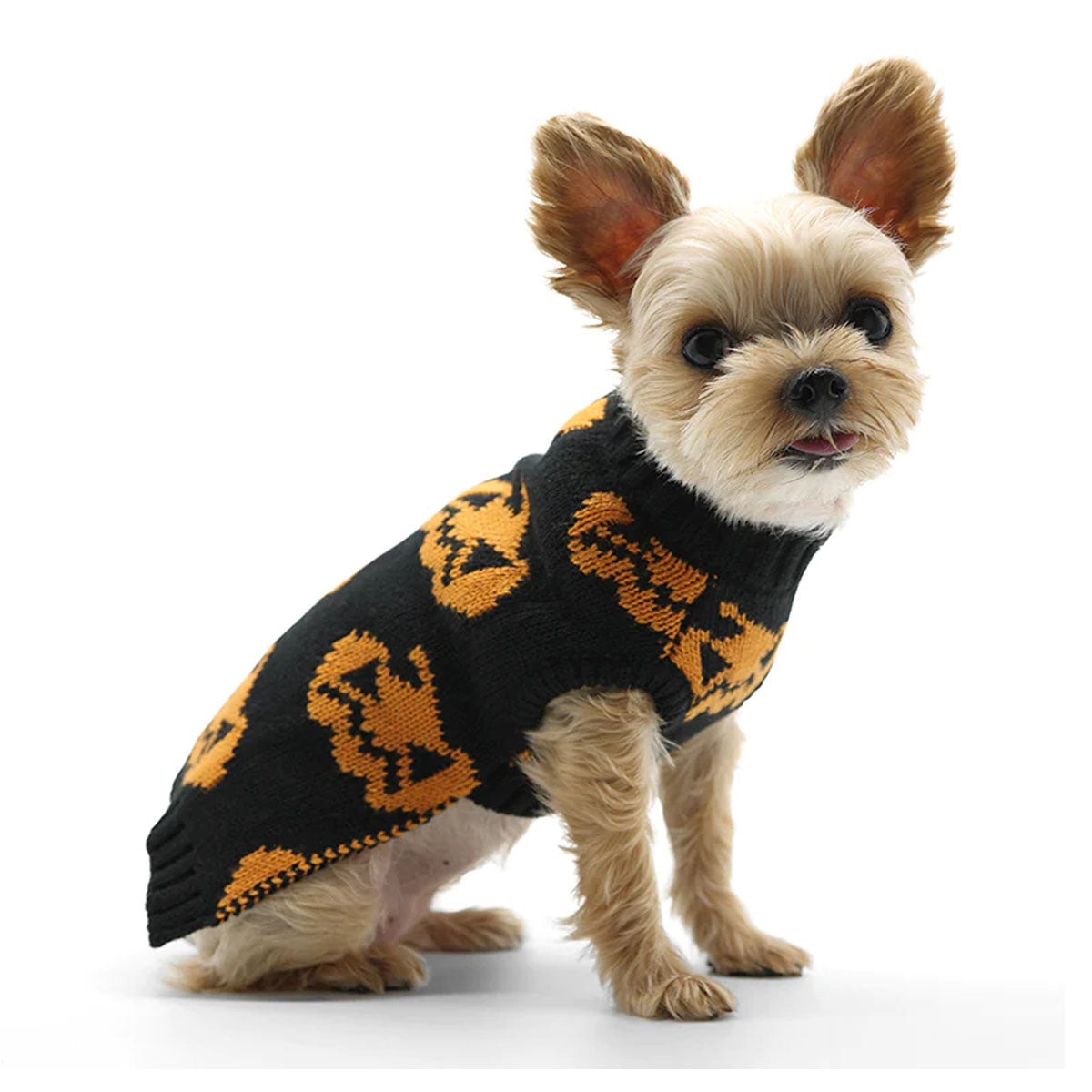 JACKOLANTERN SWEATER