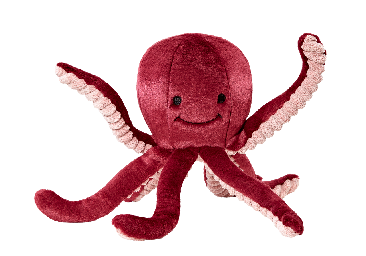 OLYMPIA OCTOPUS