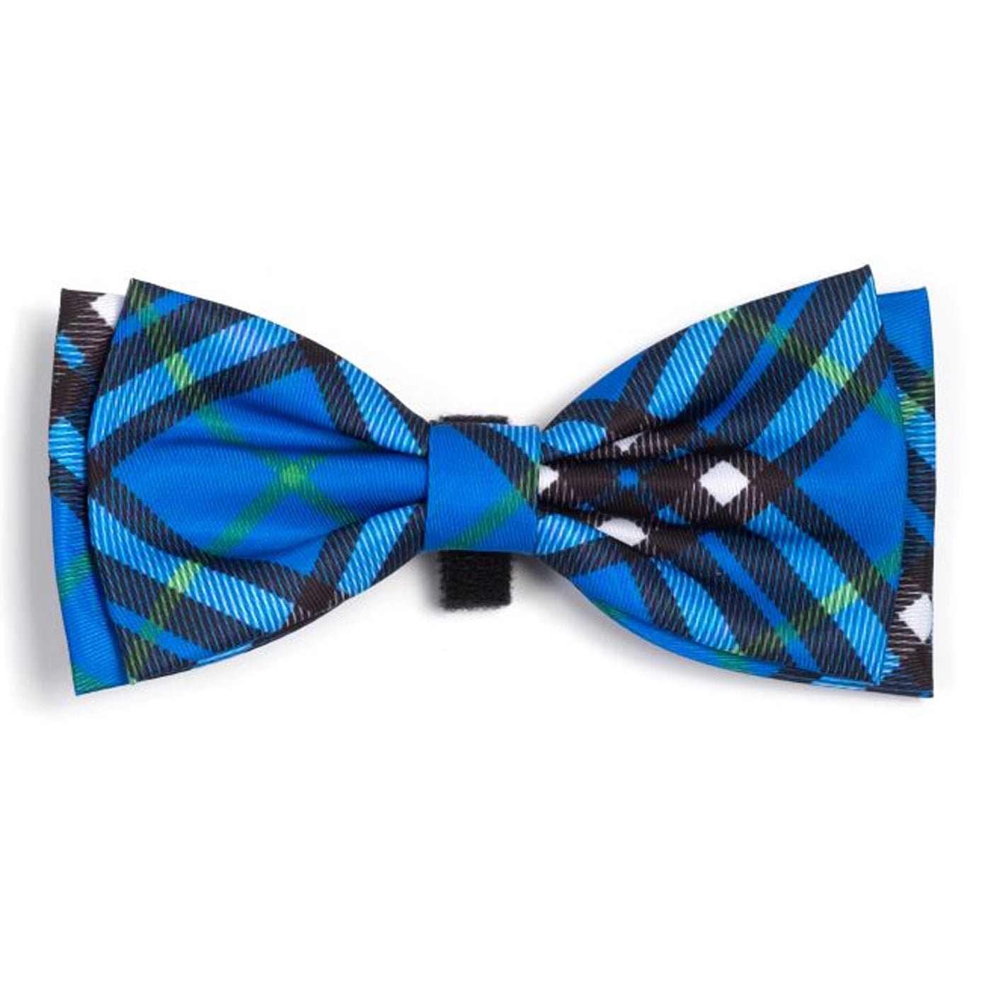 blue paid dog bow tie