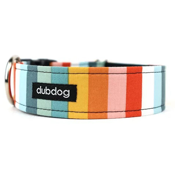 steel dog collar