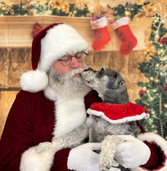 Santa Claus at Land of Paws 2024