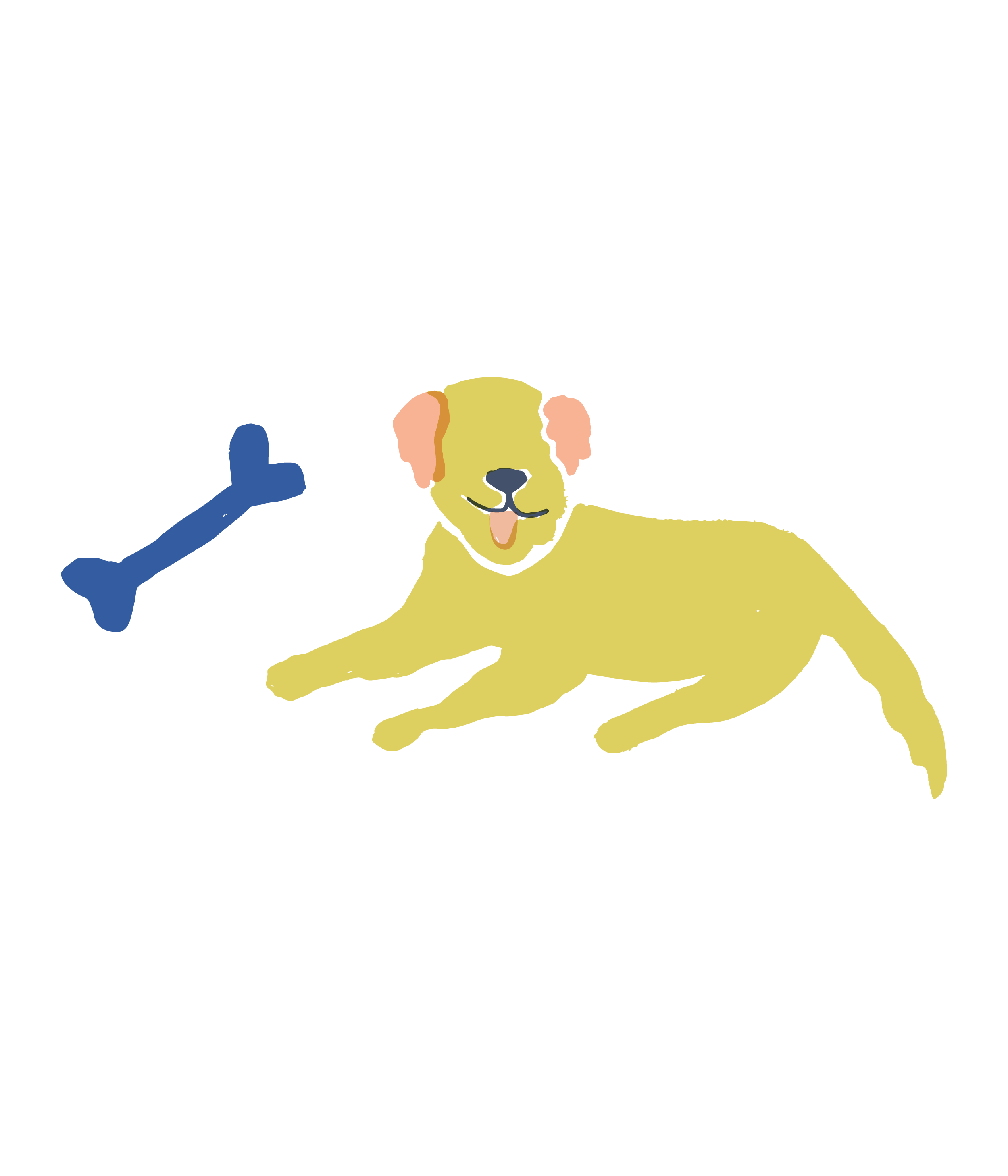 Online pet boutique offering a unique selection of dog accessories land of paws kc