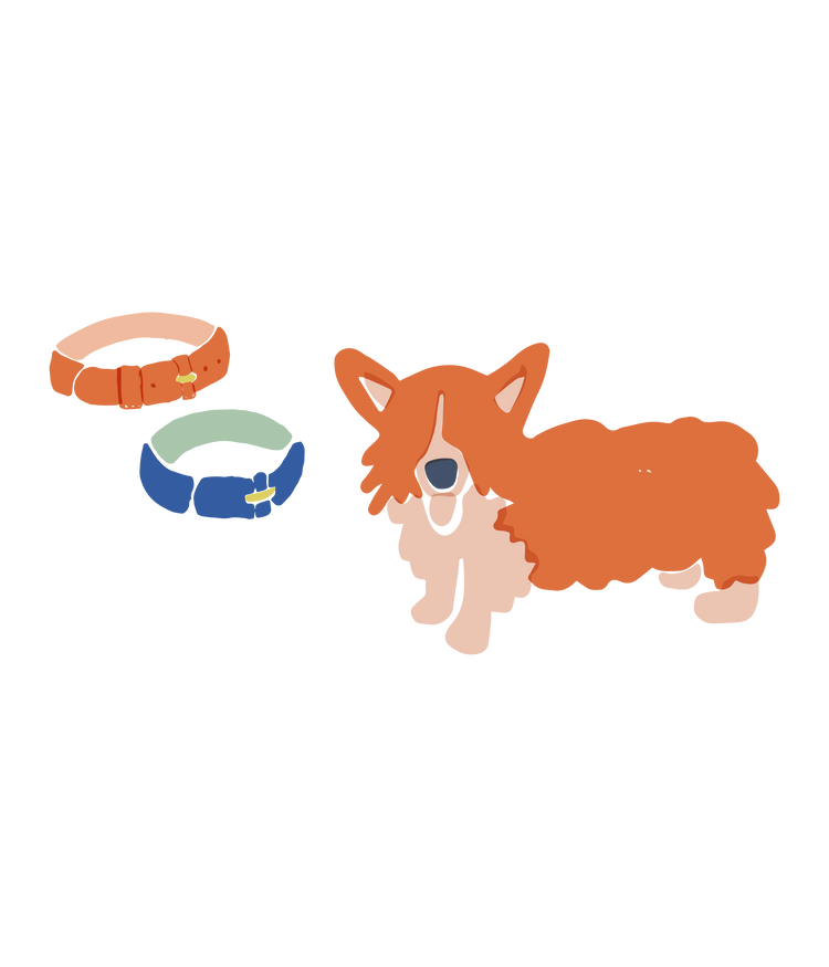 Online pet boutique offering a unique selection of dog accessories land of paws kc