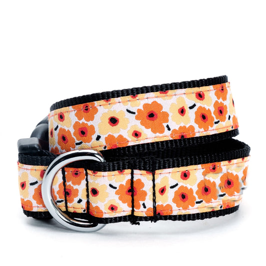 Nylon and ribbon buckle pet collar with orange, yellow and red flowers