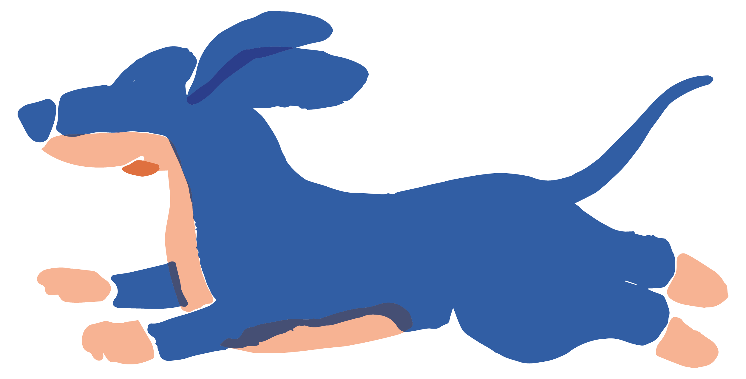 Our Story land of paws kc