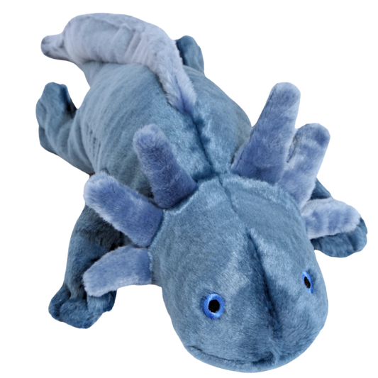 Grey and blue stuffed Axolotl shaped plush pet toy 