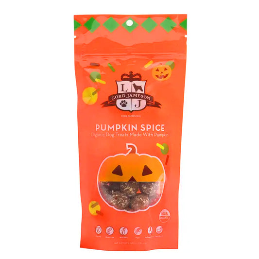 Organic Pumpkin Spice treat ball dog bites