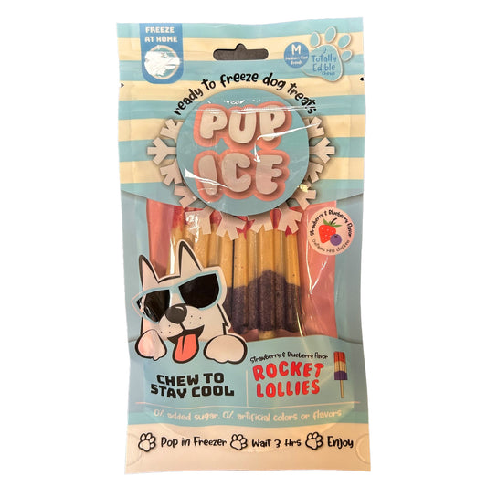 Pup Ice Rocket Lollie ready to freeze popsicles