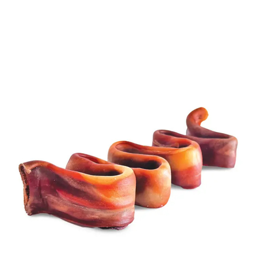 Curved, bone in a warm gradient of orange, red, and brown, arranged diagonally on a plain white background.