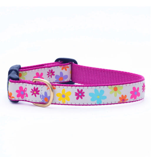 Up Country Spring Fever Floral collar with brass d-ring and plastic buckle. Pink nylon with bright colored daisies on white ribbon.