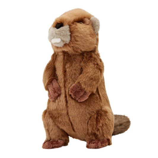 Plush toy beaver on a white background
