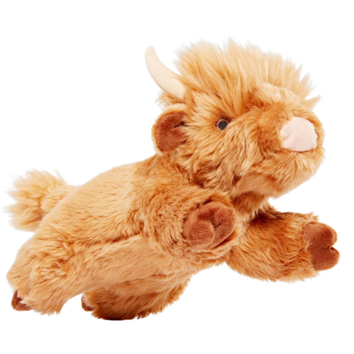 SHAGGY Highland COW